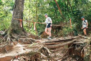 BIB: 
                            <button type="button" onclick="openModal(27725945)" class="btn btn-primary btn-sm float-right btn-popup" data-toggle="modal" data-target=".modal-high-quality">
                        <i class="fas fa-shopping-cart"></i> Add to Cart
                    </button>
                                            <button type="button" onclick="isThisMe(27725945, true)" class="btn btn-success btn-sm float-right btn-popup btn-isme hidden" data-toggle="tooltip" data-placement="bottom" title="นี่คือรูปของคุณใช่ไหม คลิกที่นี่เพื่อเอาเข้าอัลบั้ม">
                        <i class="fas fa-plus"></i> Add to album
                    </button>
                    <button type="button" onclick="isThisMe(27725945, false)" class="btn btn-warning btn-sm float-right btn-popup btn-isnotme hidden">
                        <i class="fas fa-ban"></i> Remove from album
                    </button>